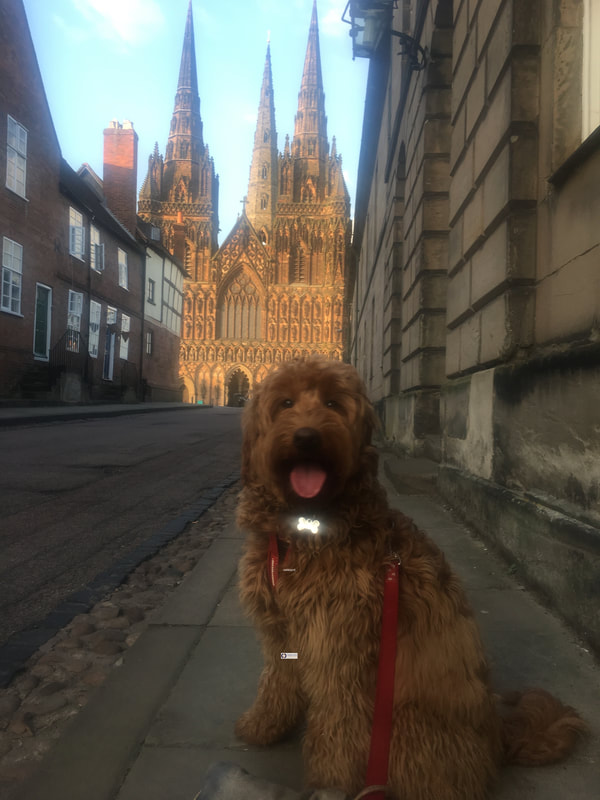 Lichfield Cathedral and dog