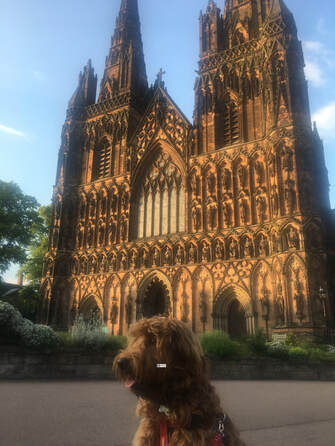 Lichfield Cathedral and Dog